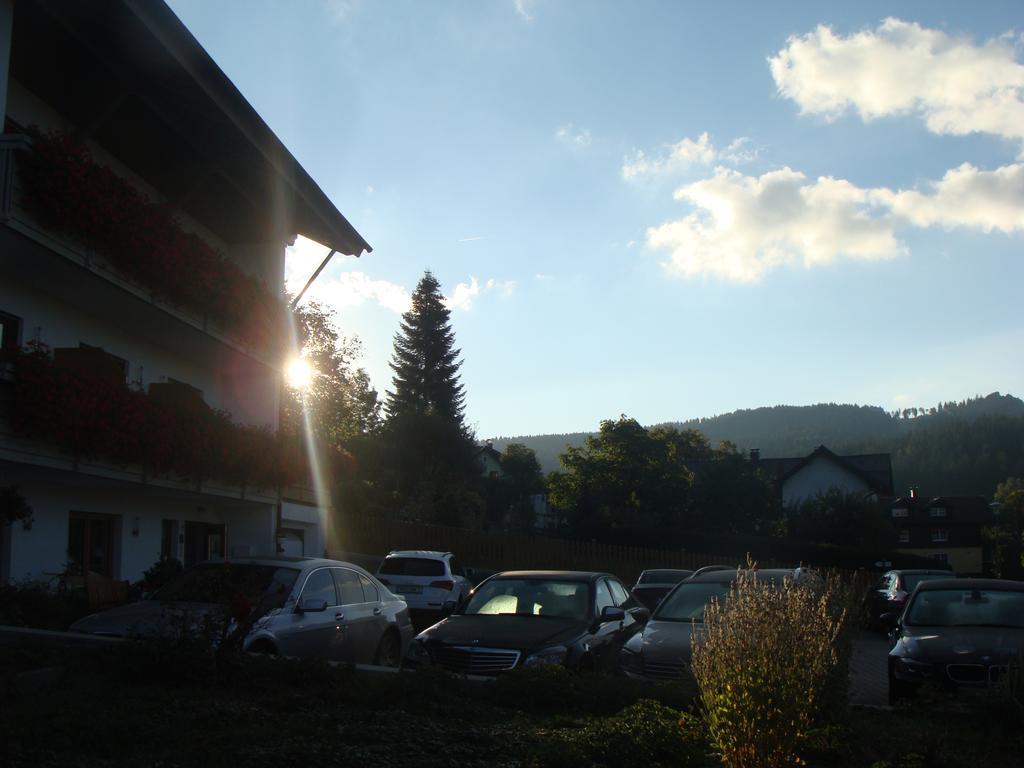 Hotel Drei Tannen à Bodenmais Extérieur photo