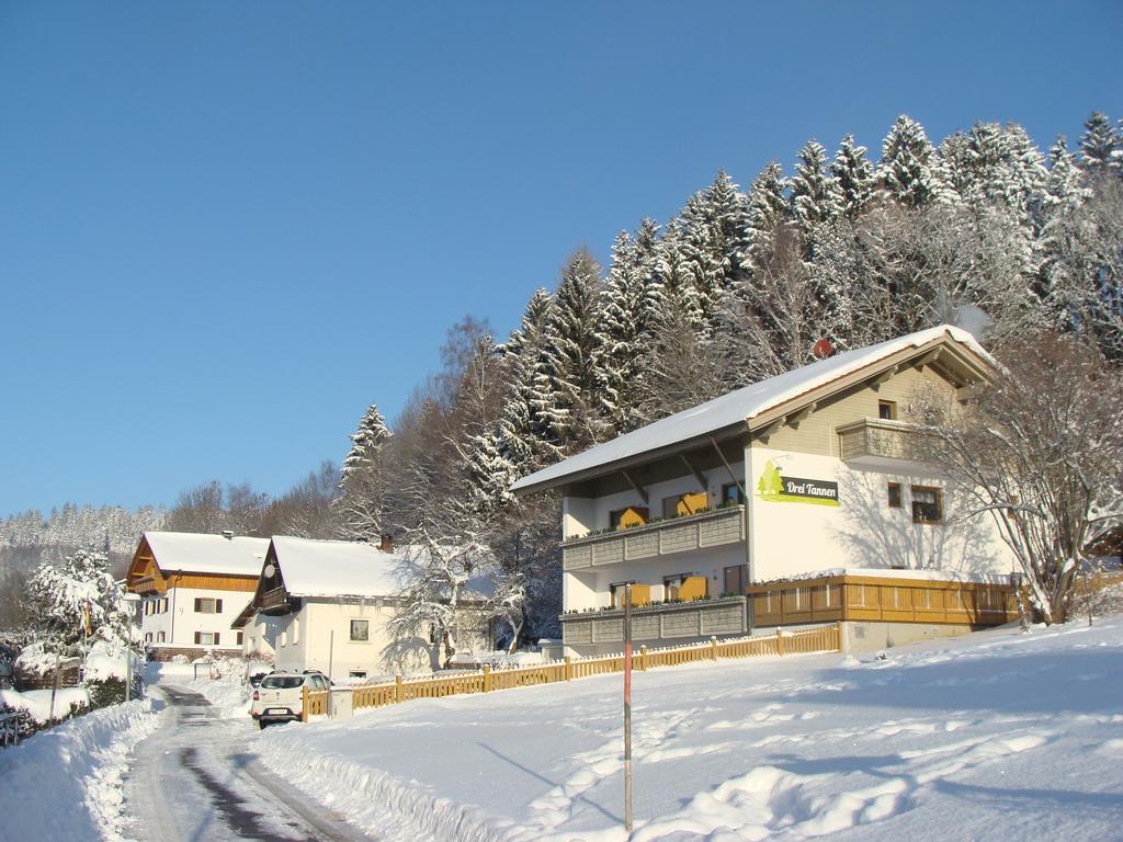 Hotel Drei Tannen à Bodenmais Extérieur photo