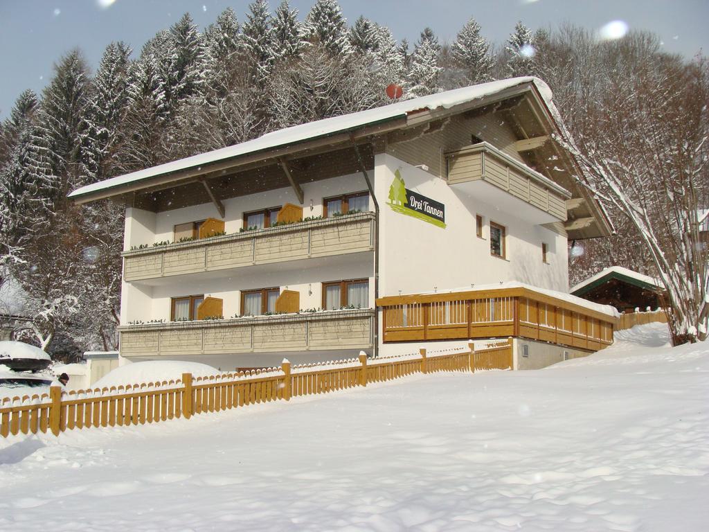 Hotel Drei Tannen à Bodenmais Extérieur photo