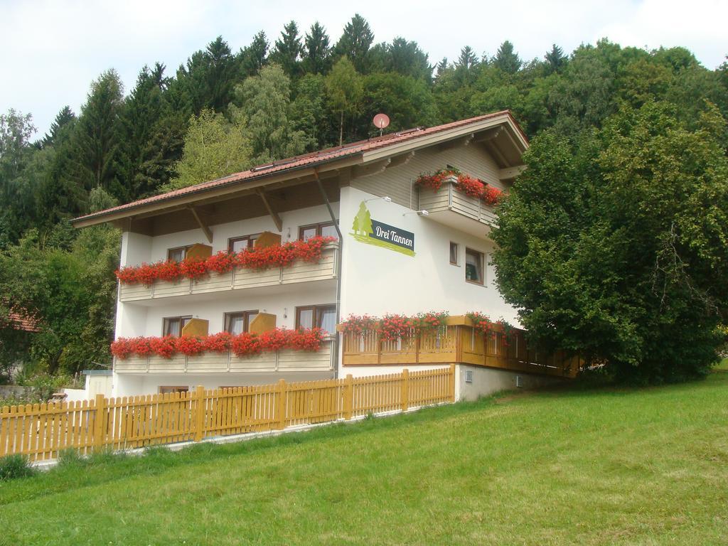 Hotel Drei Tannen à Bodenmais Extérieur photo